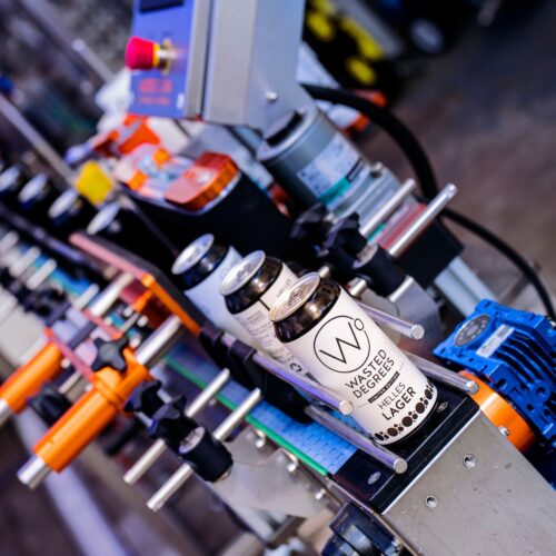 Wasted Degrees Lager