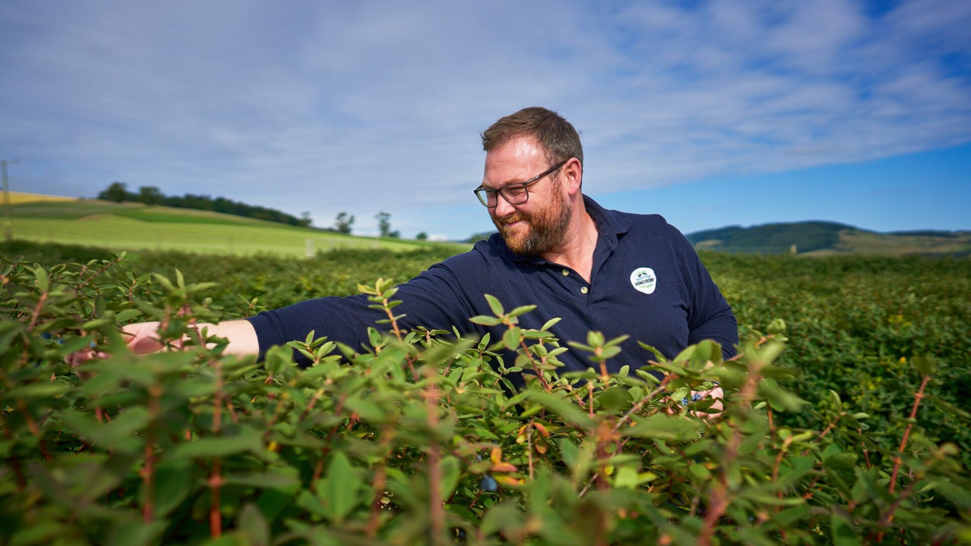 Fin Hay Honeyberry Grower