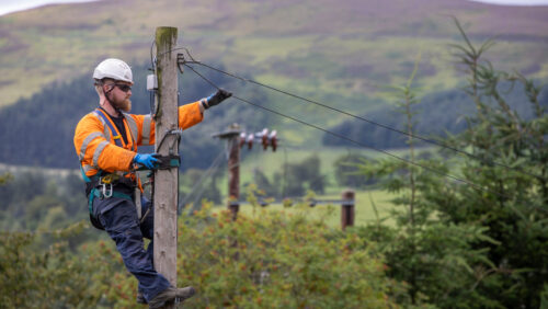Engineer up pole rural