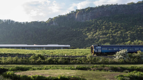 Transport Links body