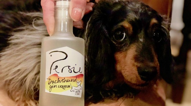 Award-winning Persie announces launch of latest Dog Gin