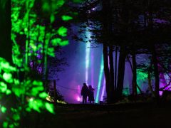 Perthshire Woodland with glowing lights and silhouette of two people.