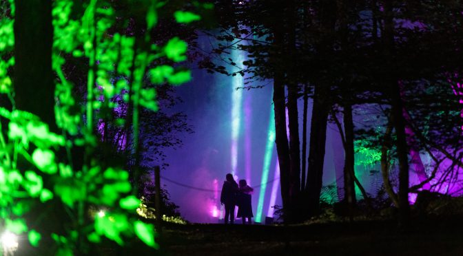 The Enchanted Forest Delivers £10Million of Economic Impact